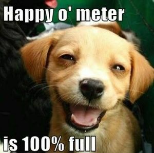 Thank you for your rating and prompt acceptance!